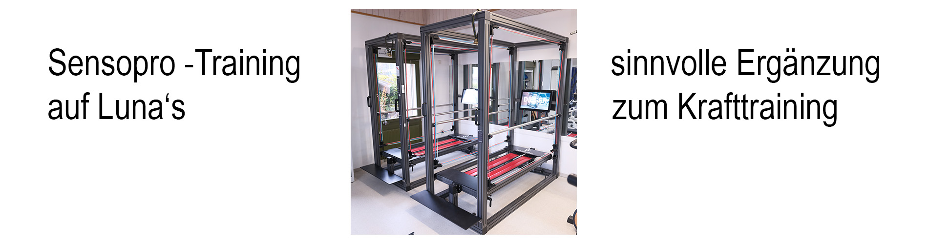 silvergymhomelogo/image9.jpg
